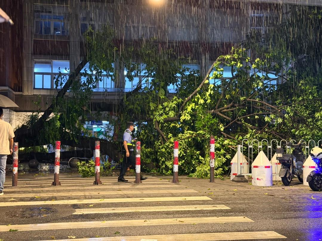 6月25日晚上8点左右，广州突然狂风暴雨，广州儿童医院门口大树倒了，导致人民中路
