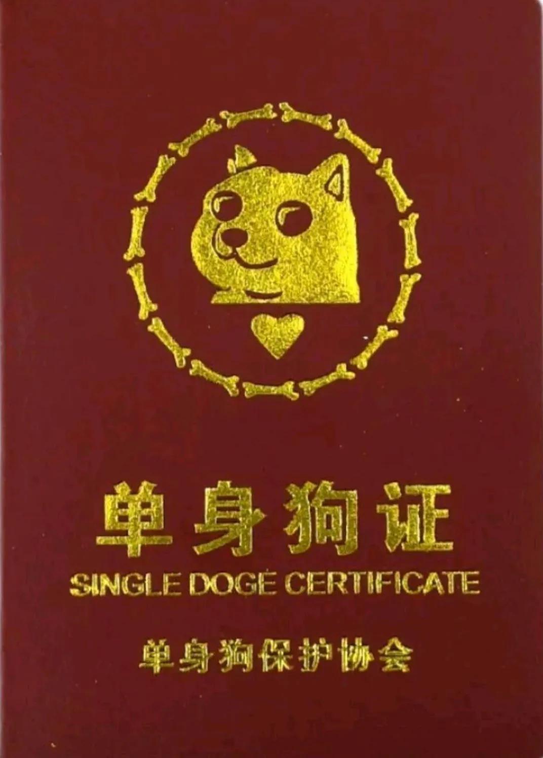 白头并非雪可替，相识已是上上签。于人海中遇见你，又将你归还于人海之中。
日出日落