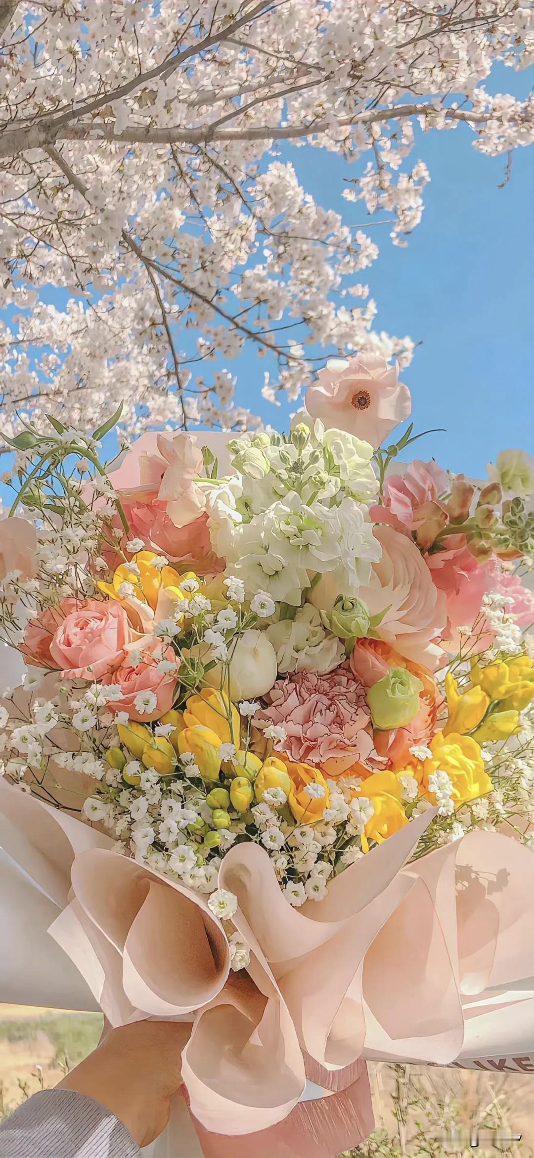 星途双车限时好价