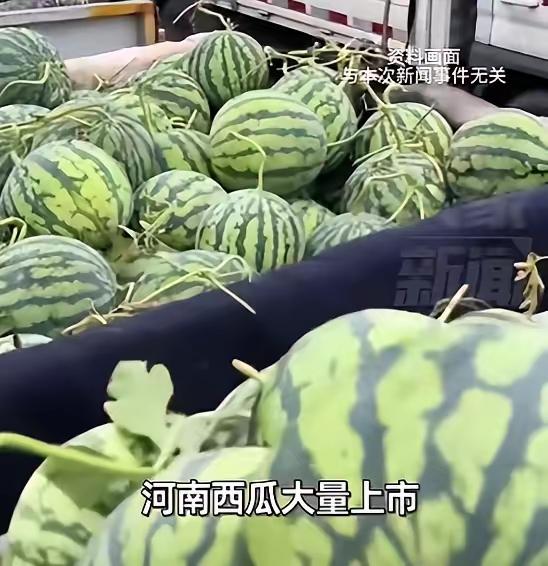 河南，一男子看到老家西瓜大丰收，拉了18吨到北京，想帮瓜农打开销路。定价8毛一斤