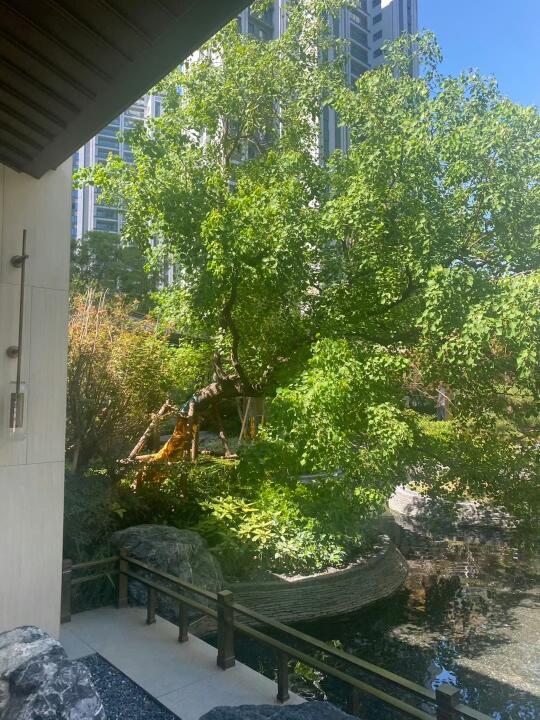 今天阳光正好🌞