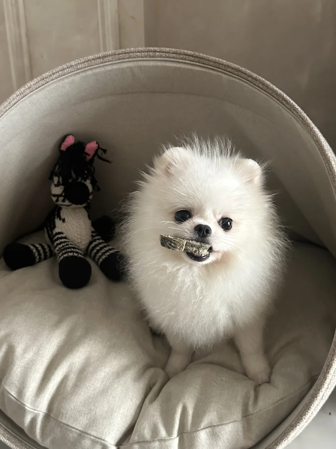 老师，我们家梓涵怎么喜欢含饭啊