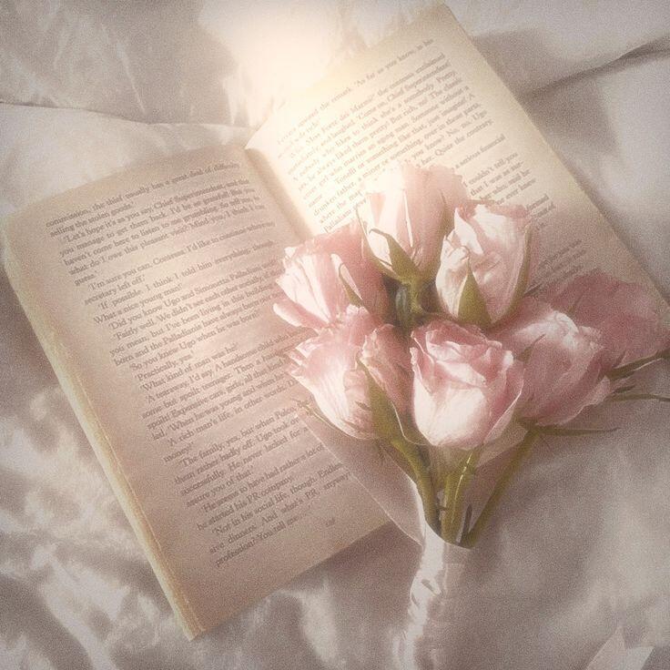 【背景图】分享‹𝟹₊˚⊹♡粉色|绿色|米色|梦境|公主|童话|梦幻|怀旧|复古