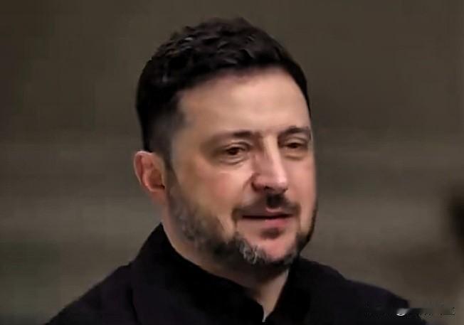 主持人:“困难之处就在于领土问题，这才是难点，那么如何达成共识呢？”

泽连斯基