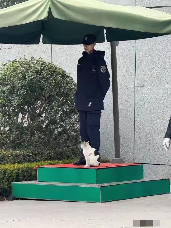 别让面子，毁了你的出路！这位二本小伙，活成了最清醒的年轻人
 
我真的被邻居家的