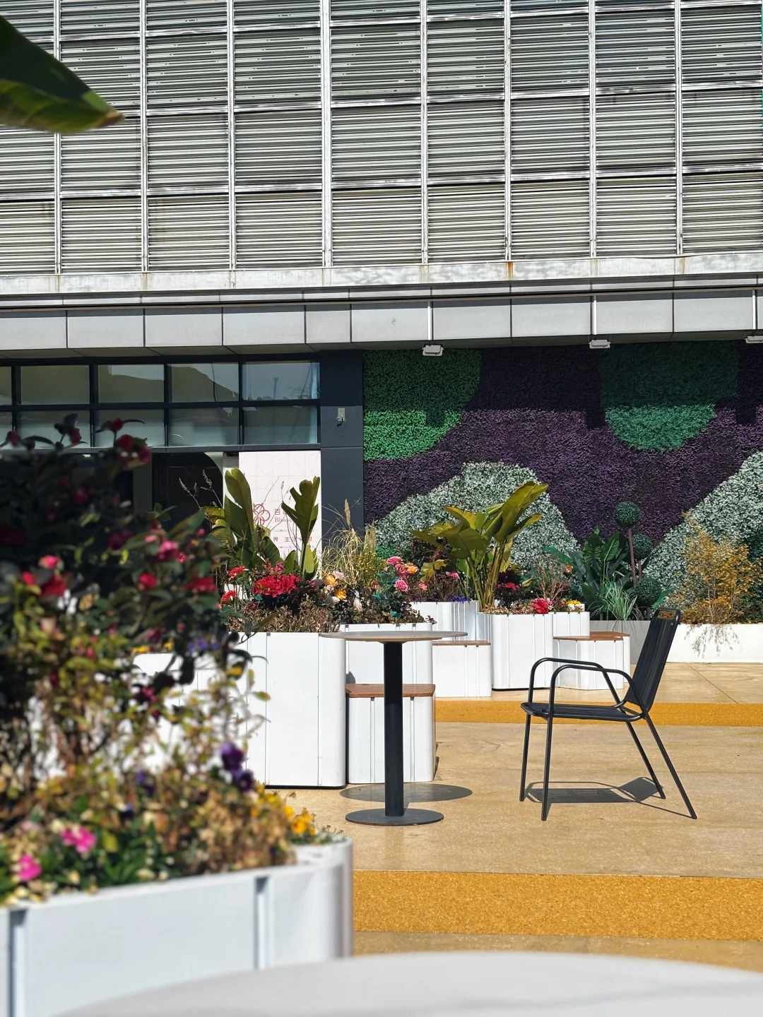 破五 理书卷，拭器物，待春风