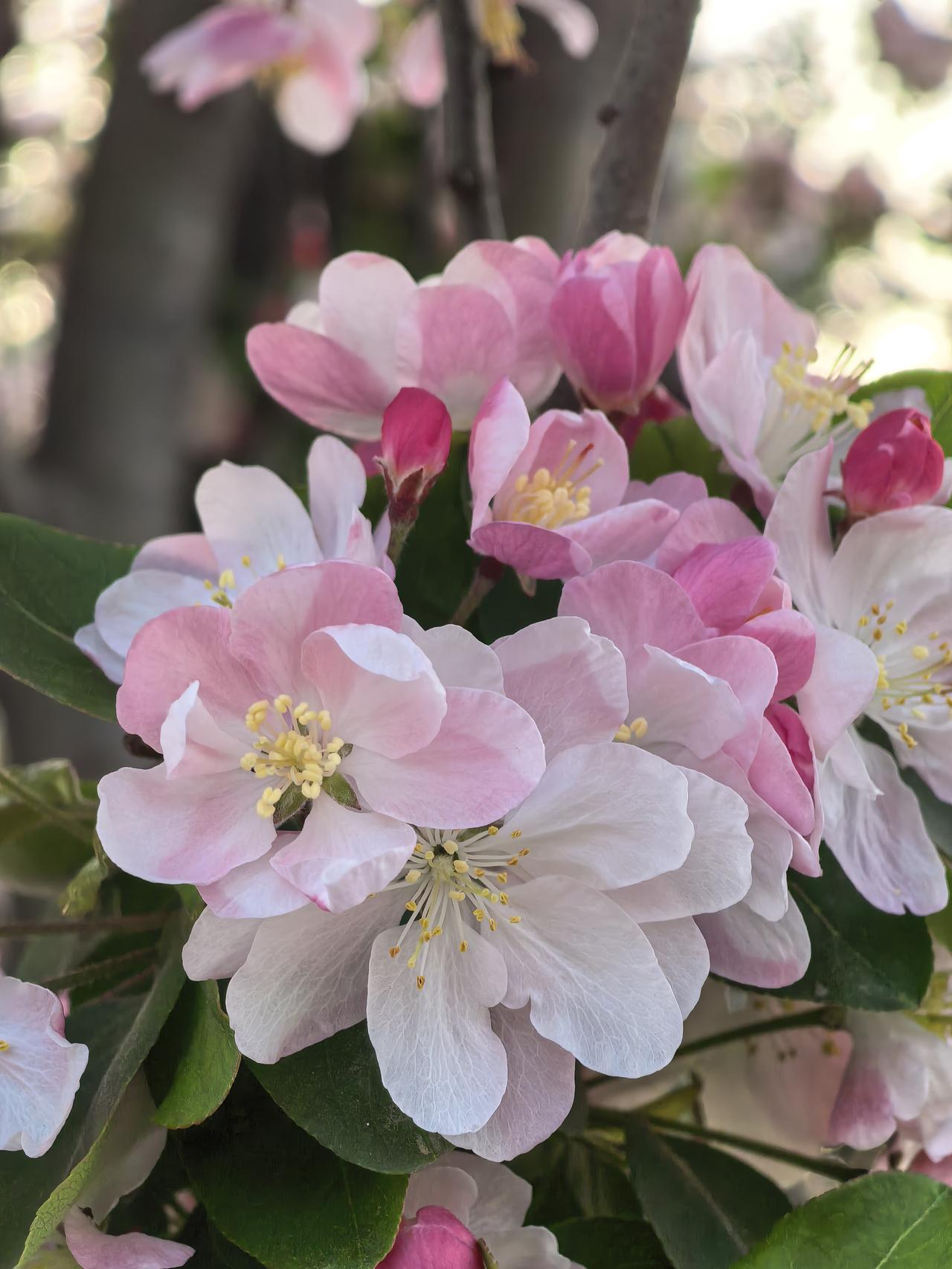 2026年3月28日       周六      晴

今天是周六，上午起床到办