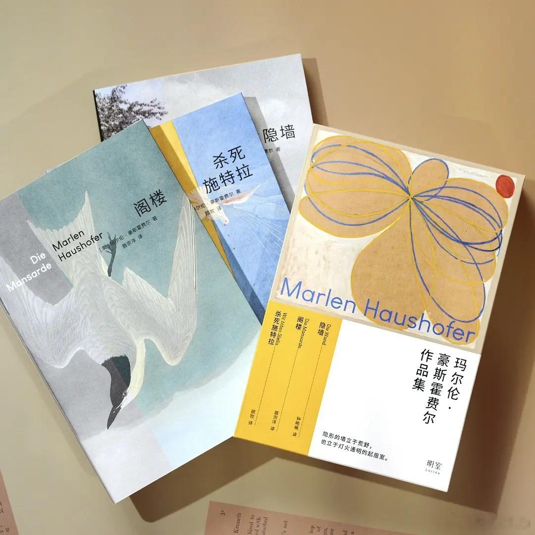 知書club 新书介绍丨阁楼是家里唯一完全属于她的地方。在这里，她远离日复一日的