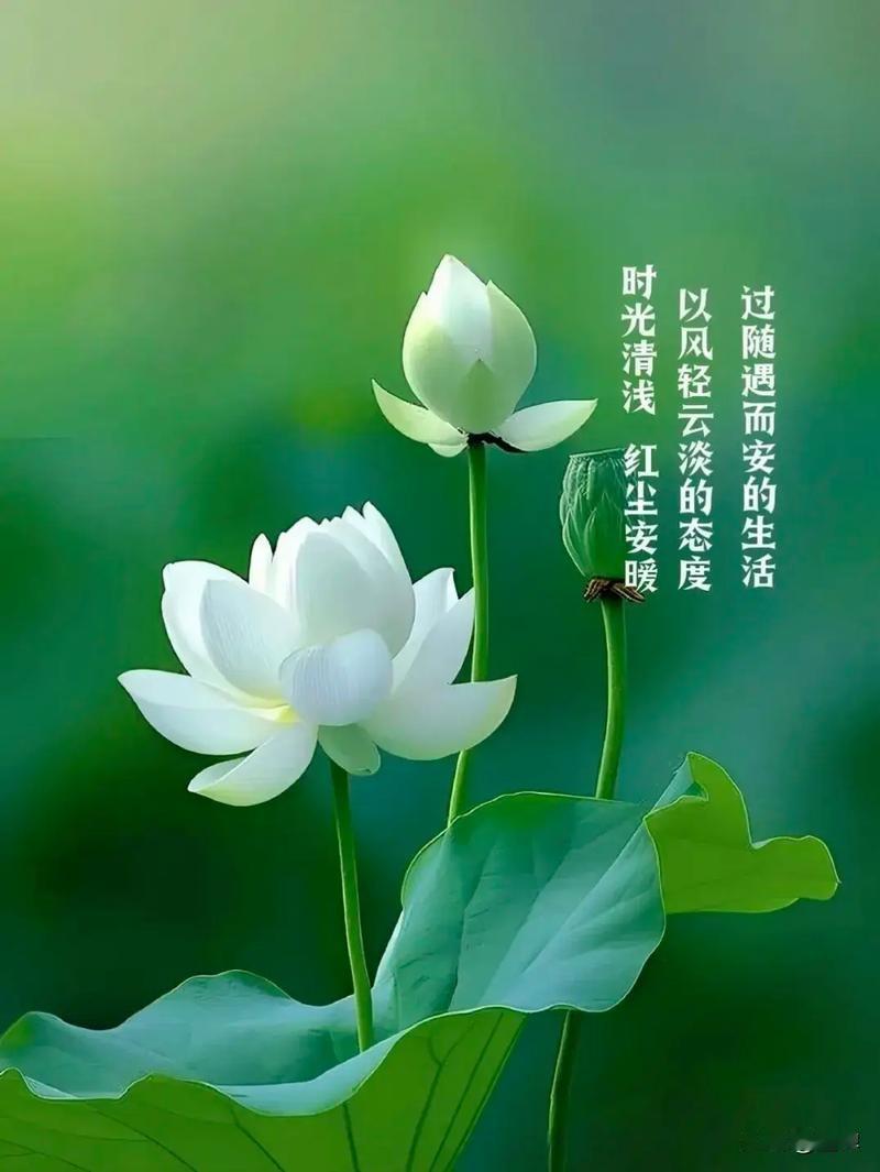 最有道理的一句话：
“你掏心掏肺请那个女生吃人均五百的日料，她拍完照就放下筷子，