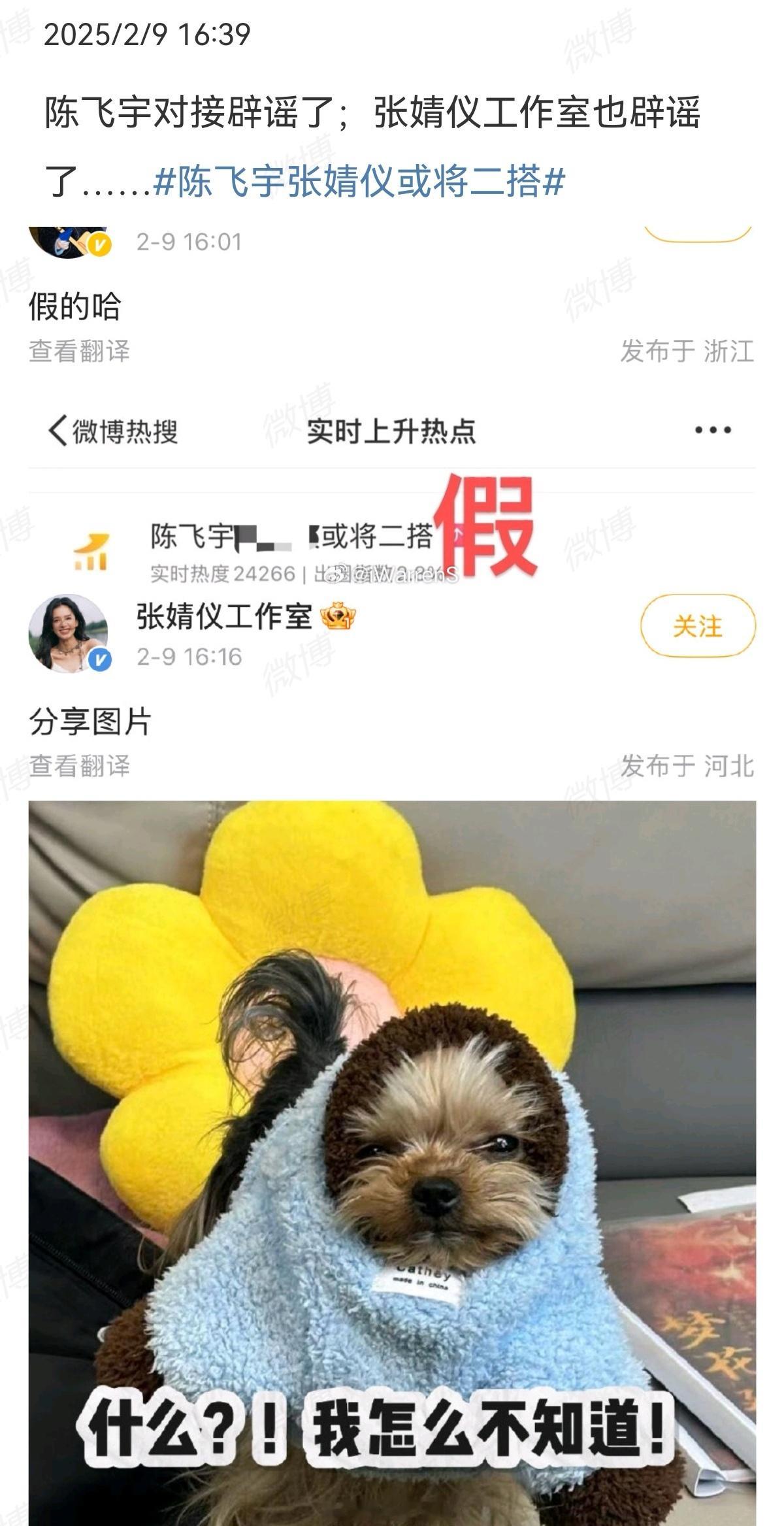 陈飞宇，张婧仪紧急辟谣二搭[笑cry] 