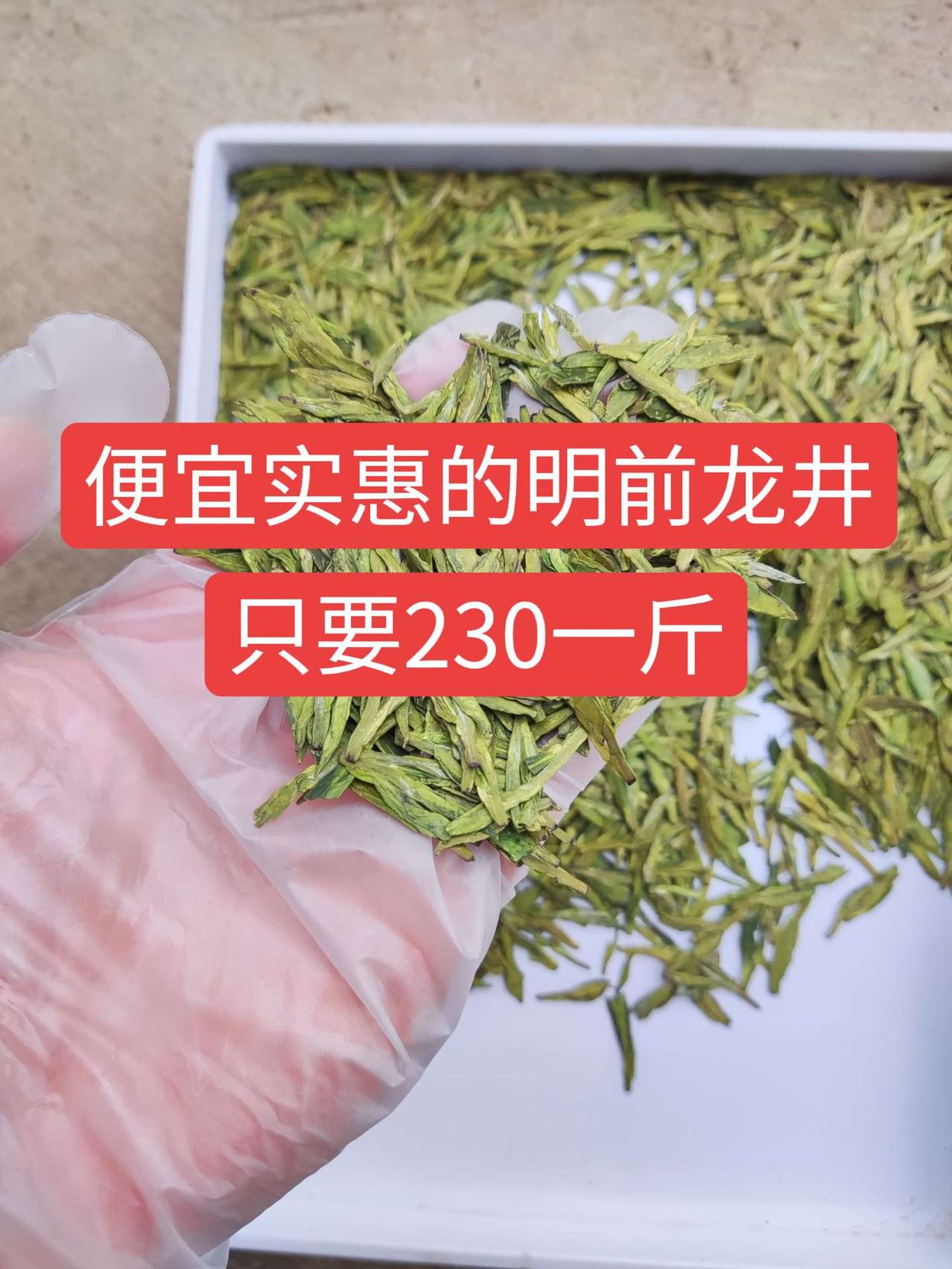 给茶友们推荐一个便宜又好喝的明前高山龙井，只要230一斤龙井茶 今天你喝茶了吗