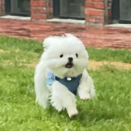 每天下班的我 be like ​​​