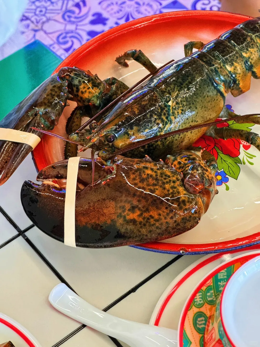 贵阳壹号你还有什么惊喜是我不知道的？