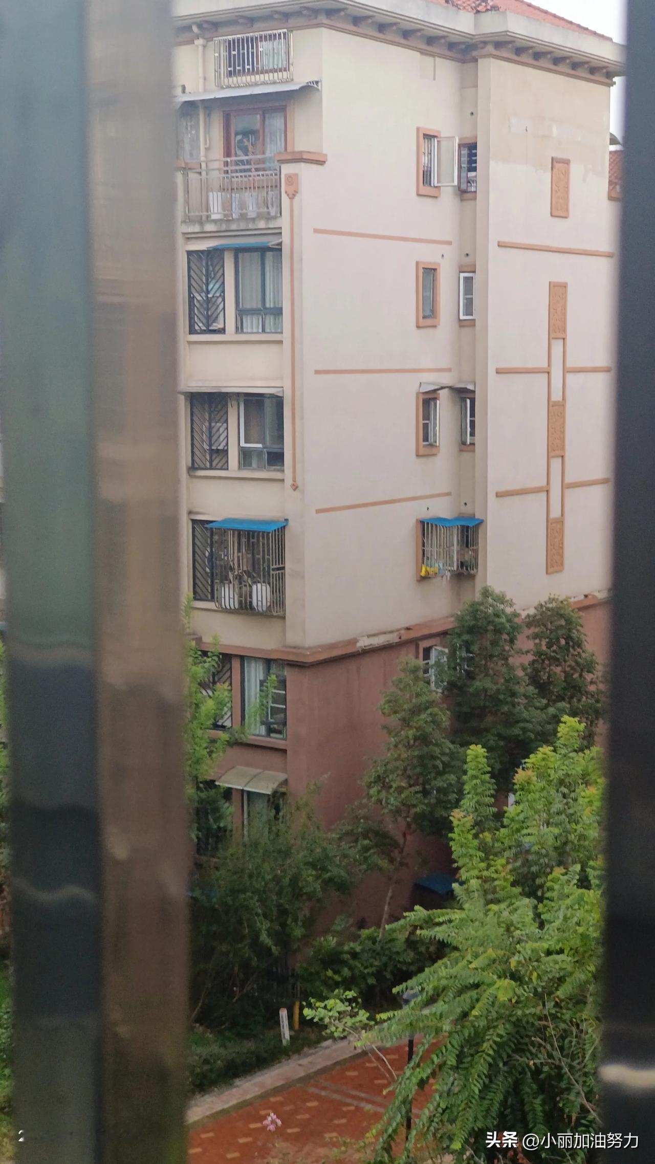 大家好我是一位白血病病人，今年第四年时间，就我这肠胃。简直无语了

昨晚侄女来我