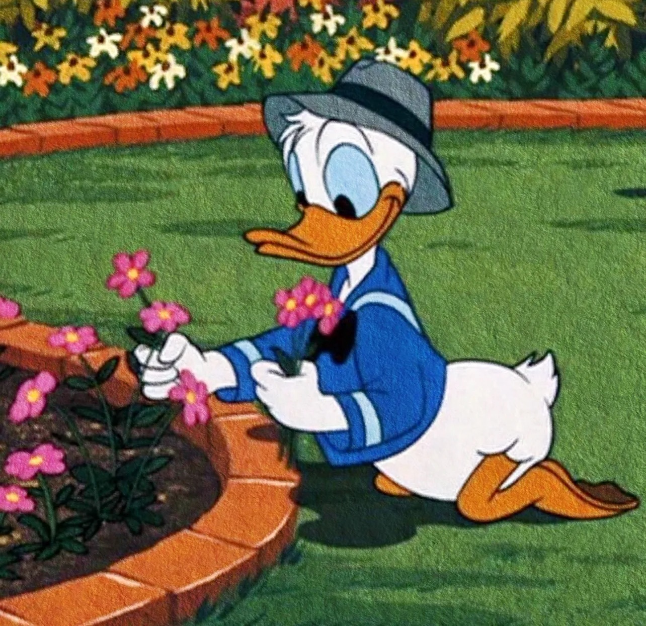 ♟˖ 唐老鸭 黛西˖💡 ​​​