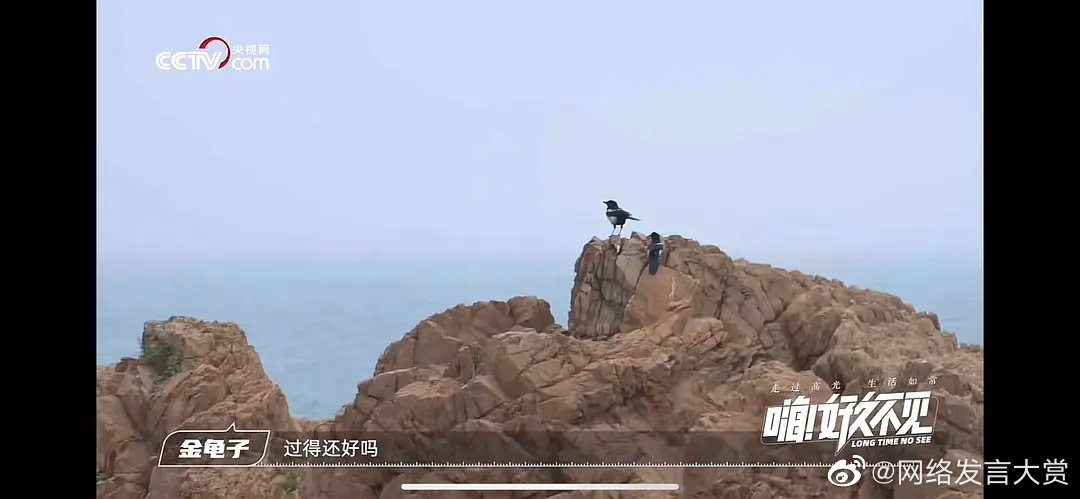 谁懂 金龟子问当年的小朋友过得还好吗