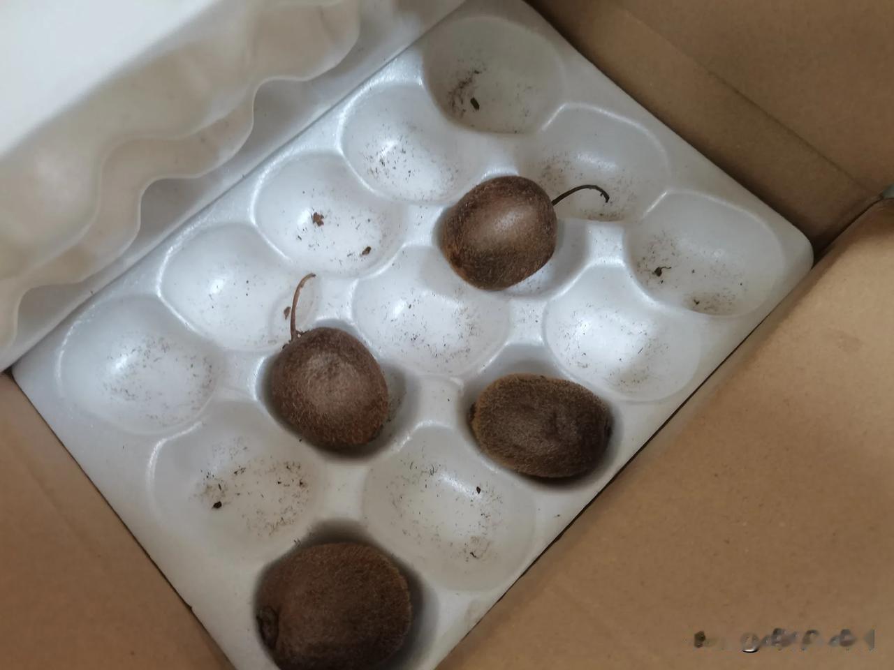 猕猴桃这种水果，真是不能网上买，刚买回来是硬的不能吃，等放软能吃了，发现它也坏了