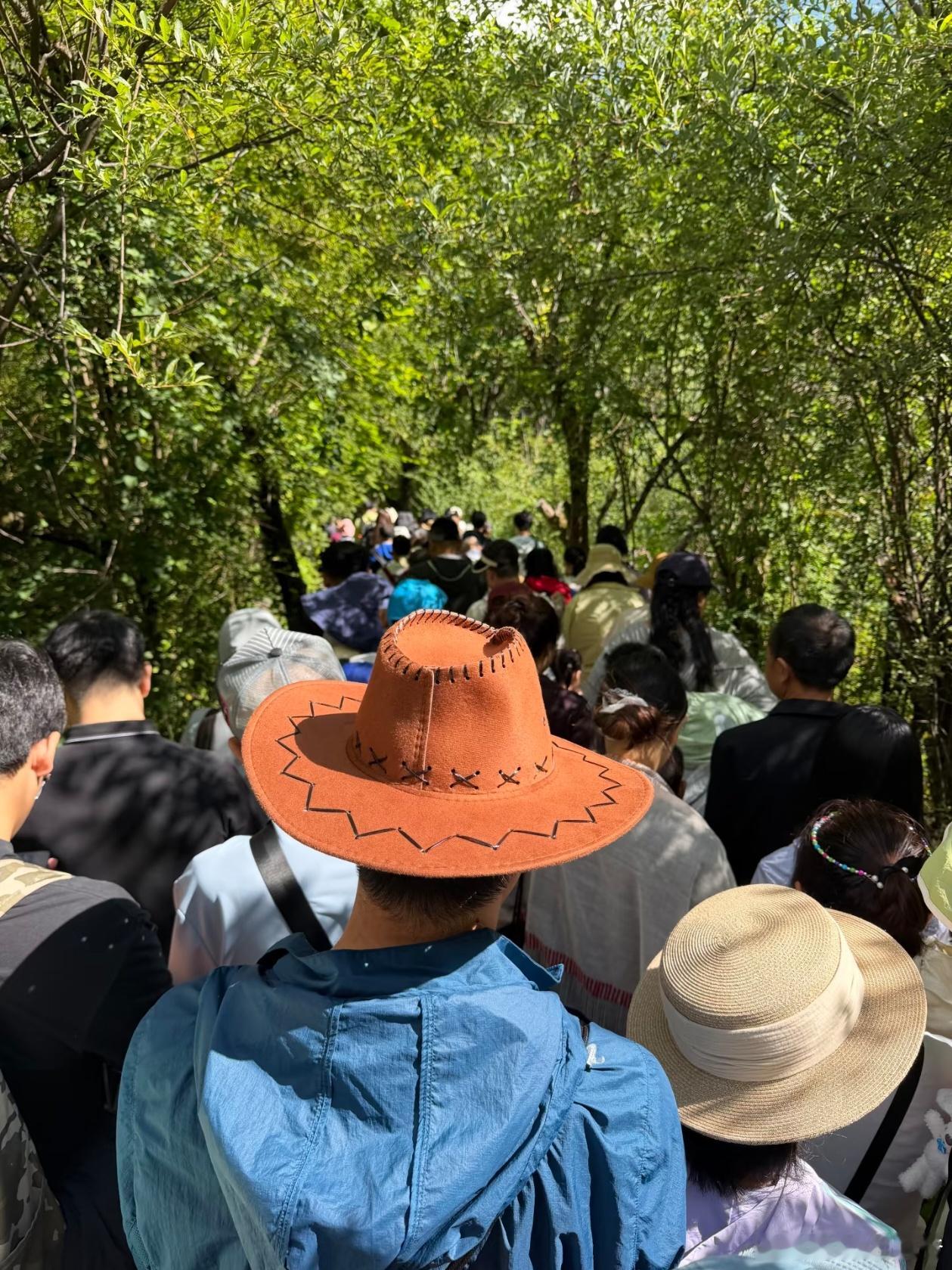 全世界都知道中国人放假了都说经济不景气，原来是我自己一个人不景气[允悲]其他人都