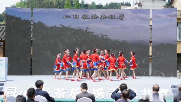 台州仙居这个乡一脚踏三市促共富协作春染茶山香飘三地，台丽温茶文旅盛会启幕，携手绘