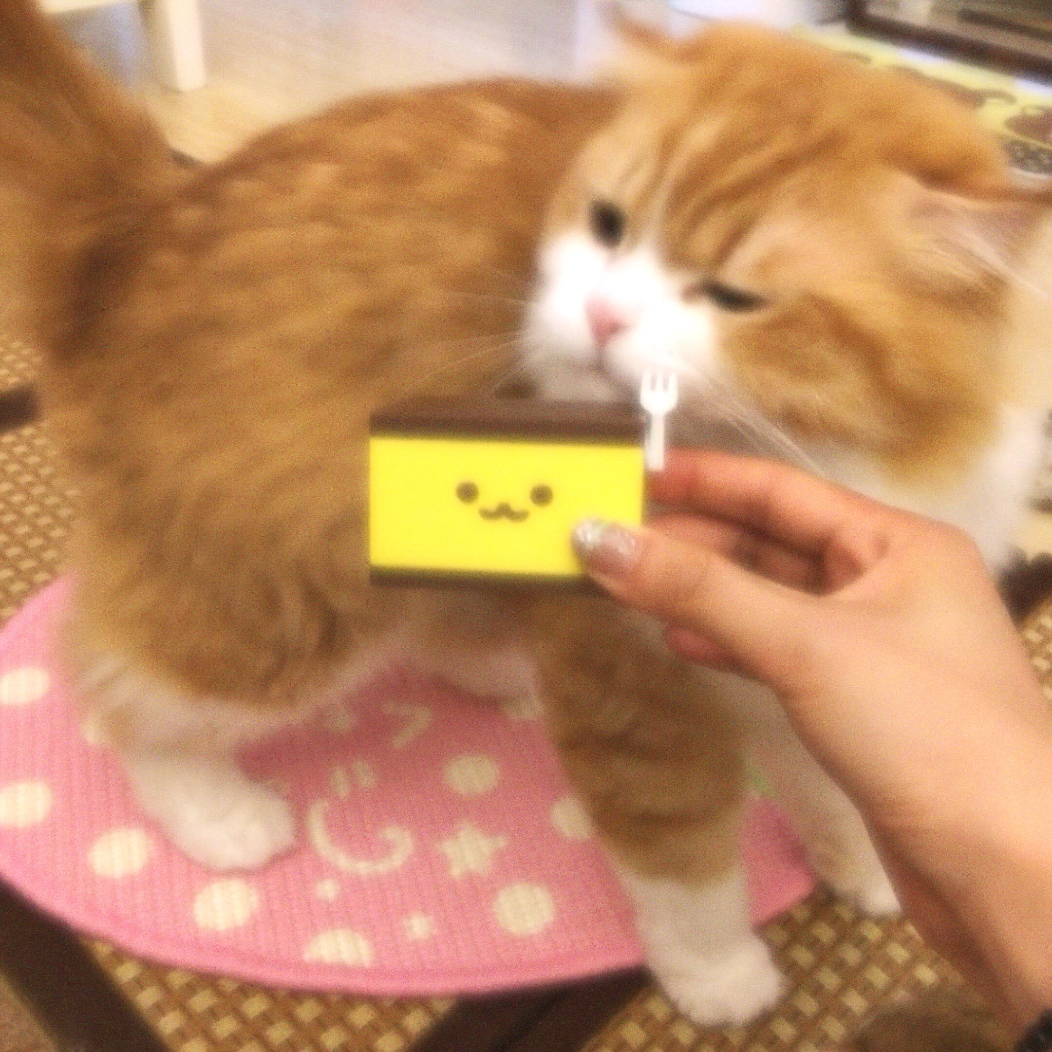Do you love 咪？ᯠ_  ̫ _ᯄ 