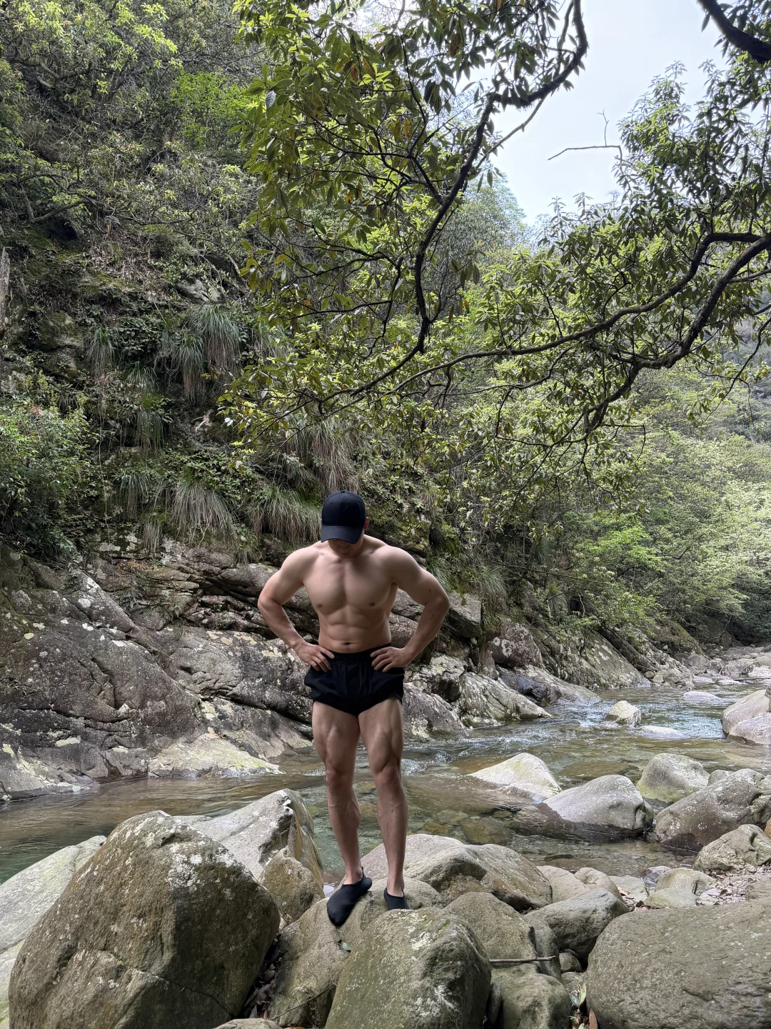 永远喜欢大自然的生命力🍃