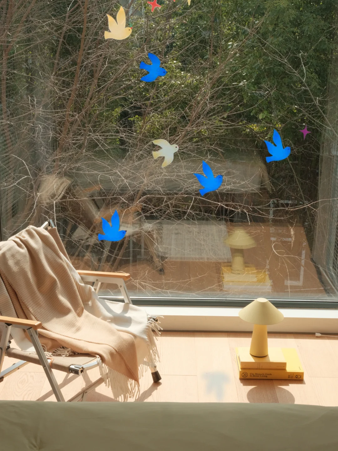 看，鸟儿飞进了我的卧室