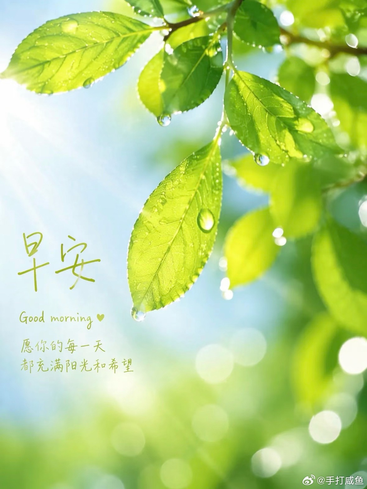 心怀笃定的目标稳步向前，不急于求成，不畏惧坎坷，认认真真做好日常每件小事，时光不