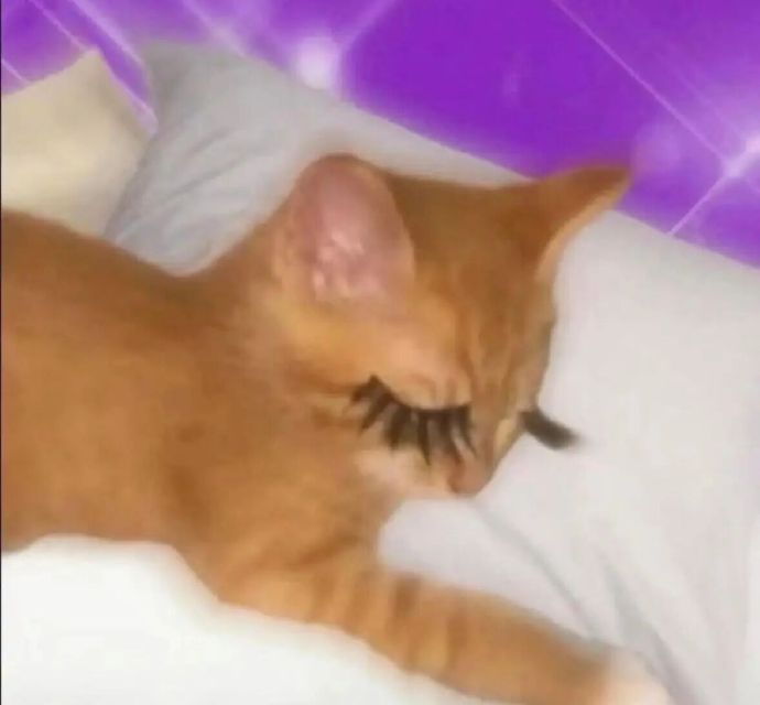 睡了 