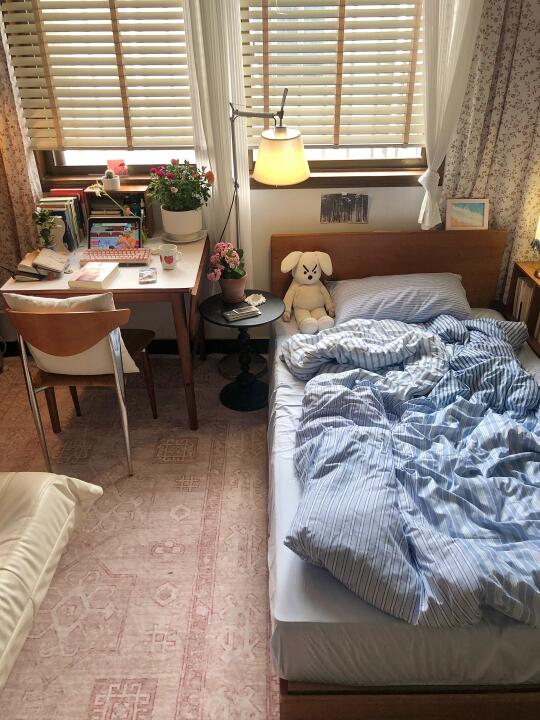 宅女小屋🏠一个人度过了很多快乐的日子✨