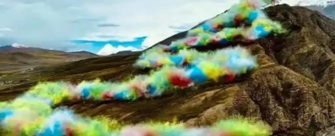 烟花在5500米的山上炸开，草皮被烧出一道疤，几十年长不回来。
始祖鸟说这是“向