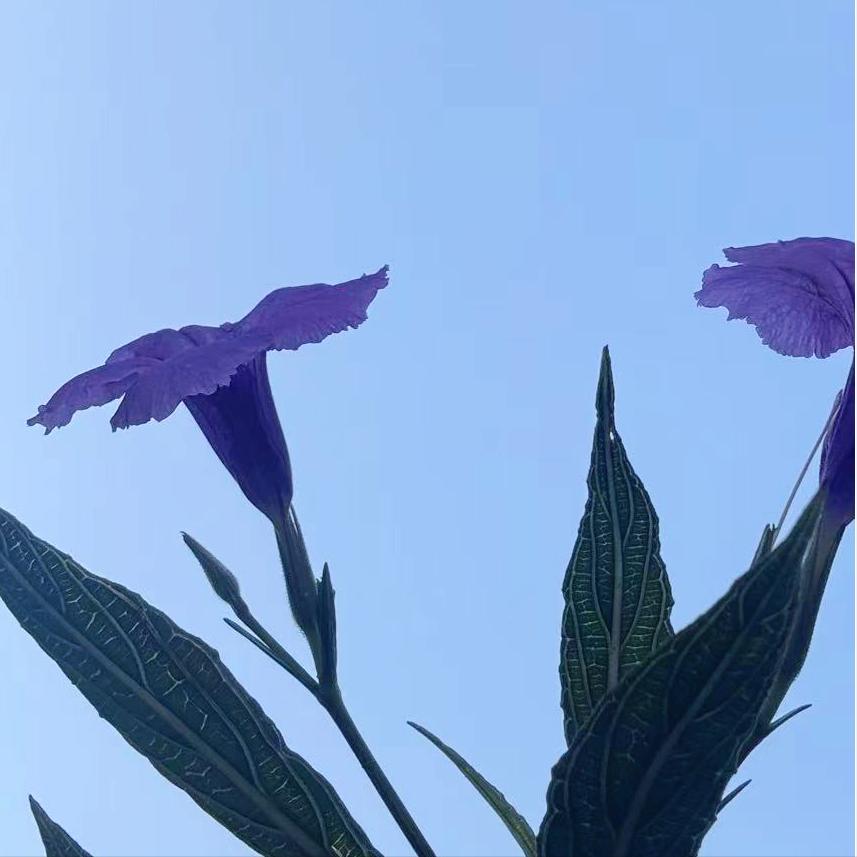 新疆：执纪审查1人
 
3月30日，该自治区执纪审查1人，为区上的人大系统原官员