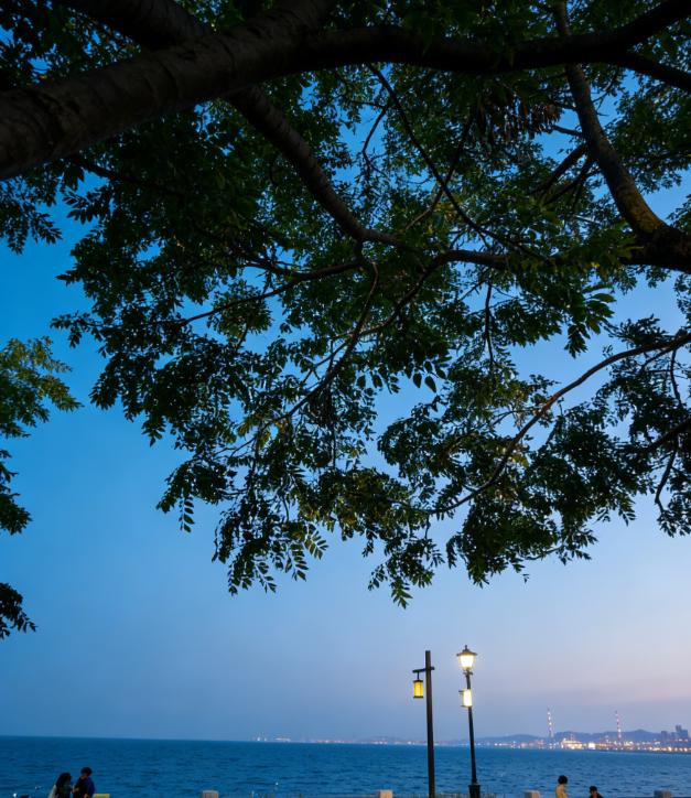 你回头看看，那些敢欺负你的人，是不是都有这些表现？所有不把你当回事的人，都是在心