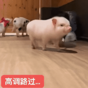 下暴雨了哈哈哈哈哈！ 