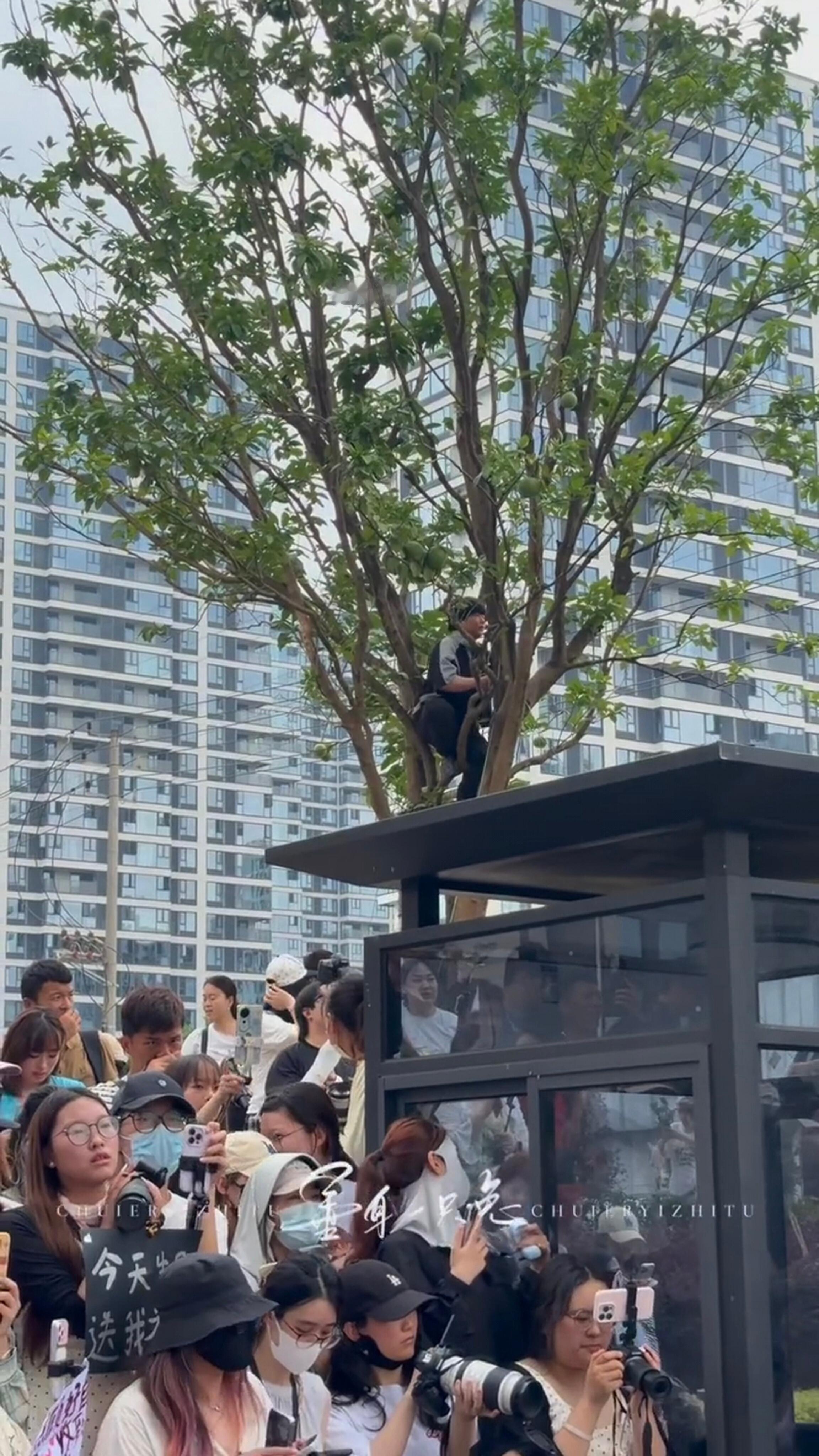 好努力的代拍