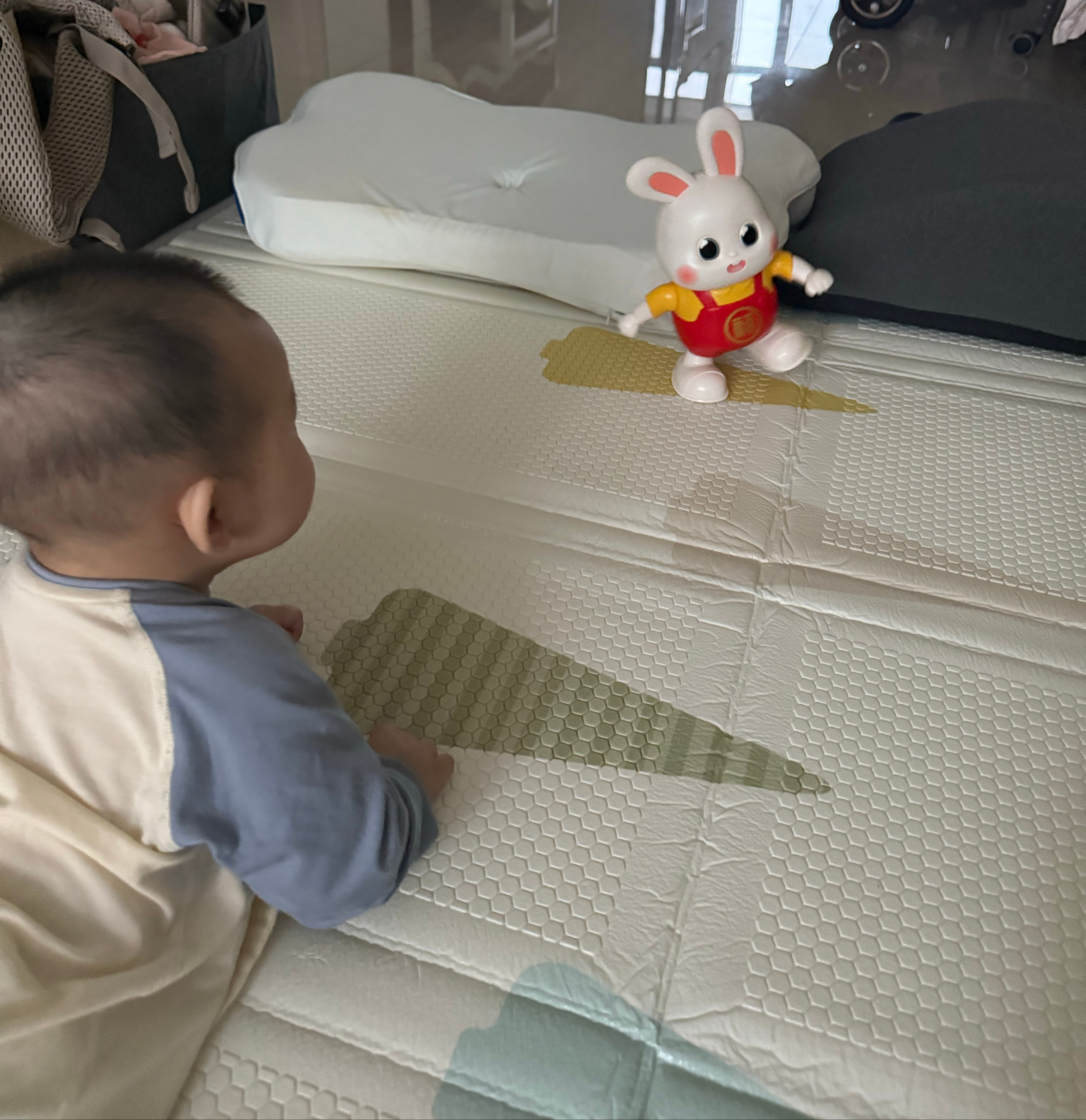 小兔子🐇一早就上班了 ​​​