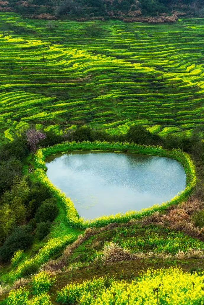 我们有不少高三的学生，不太重视基础，特别是重点高中的学生，比较热衷于钻研难题，认