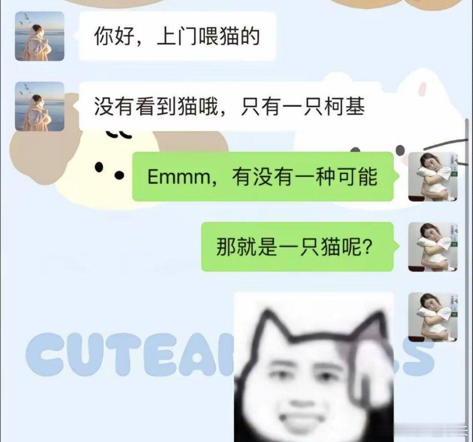 这也算是猫狗双全了 ​​​