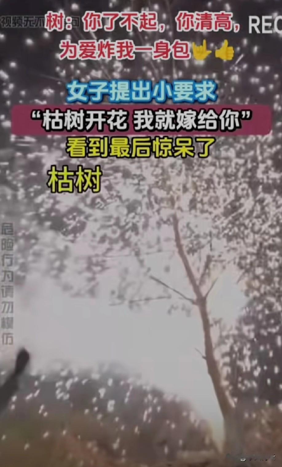 方法总比困难多
请珍惜这样的女孩[比心]