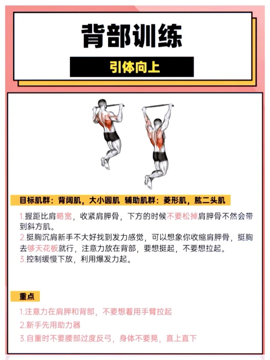 背部肌肉训练动作，你练了吗？