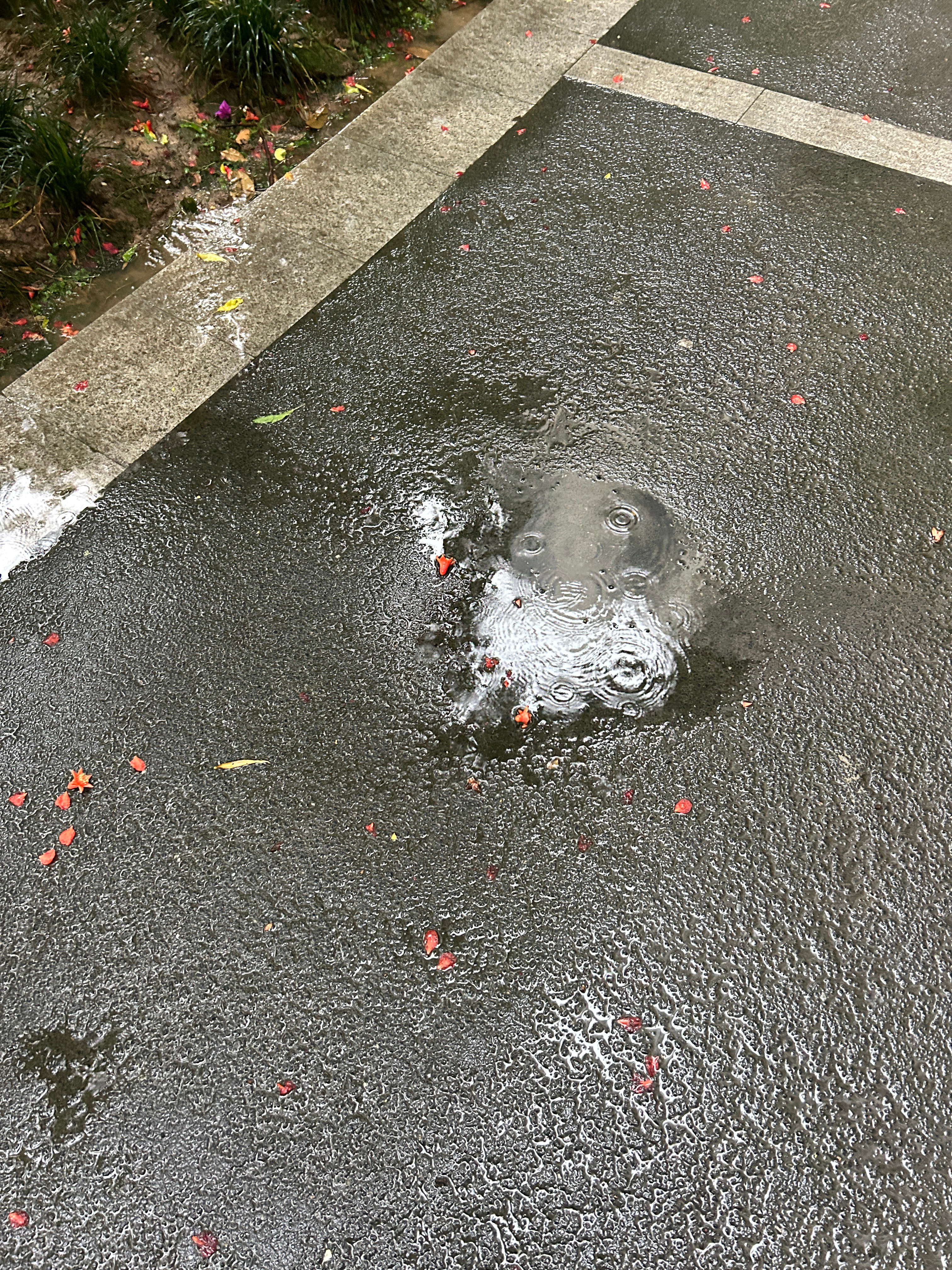 降温暴雨组团来袭我真的受不了了！开窗吧，雨直接飘进来，地板全是水，不开窗吧，屋里