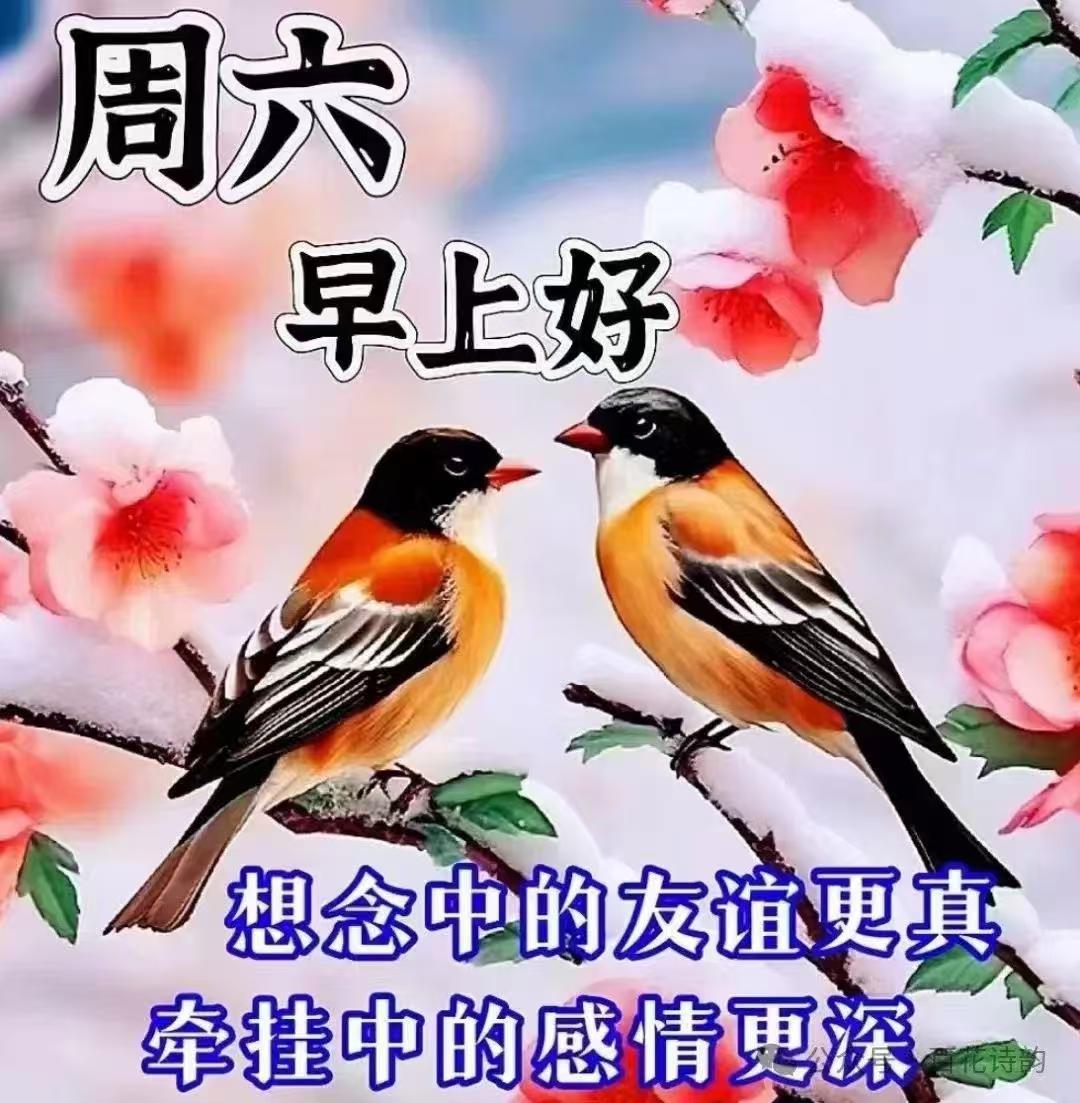 别随口就认同这句话，我反倒觉得，很多人都理解偏了。不是健康本身有多值钱，是拥有健