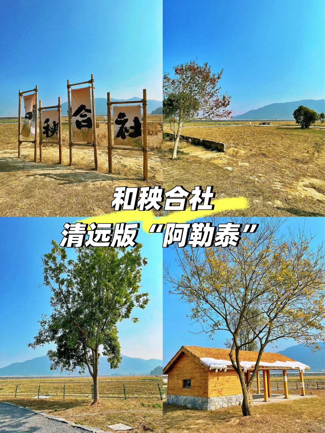 清远版“阿勒泰”和秧合社｜坠入秋天的景色🍁