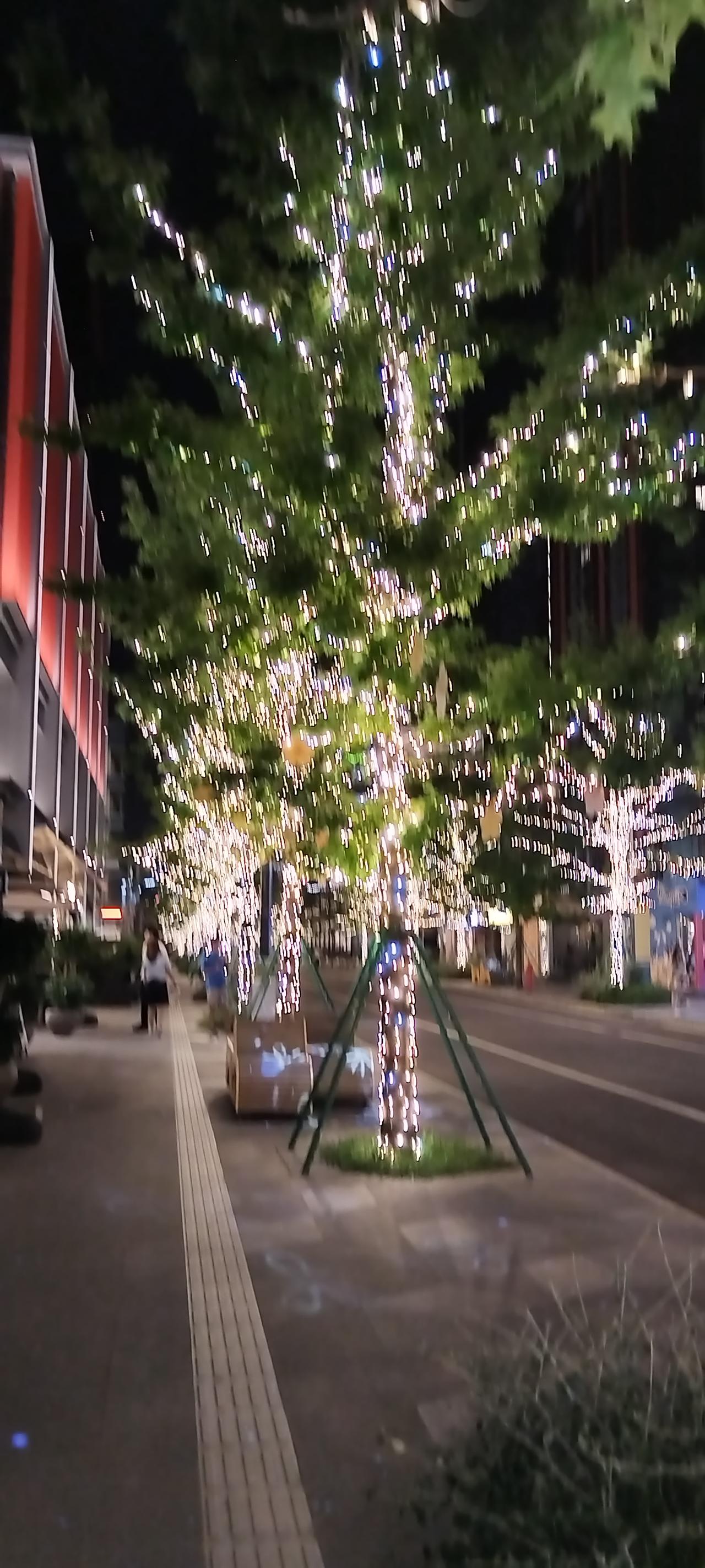 ，什么花都行
火树银花！