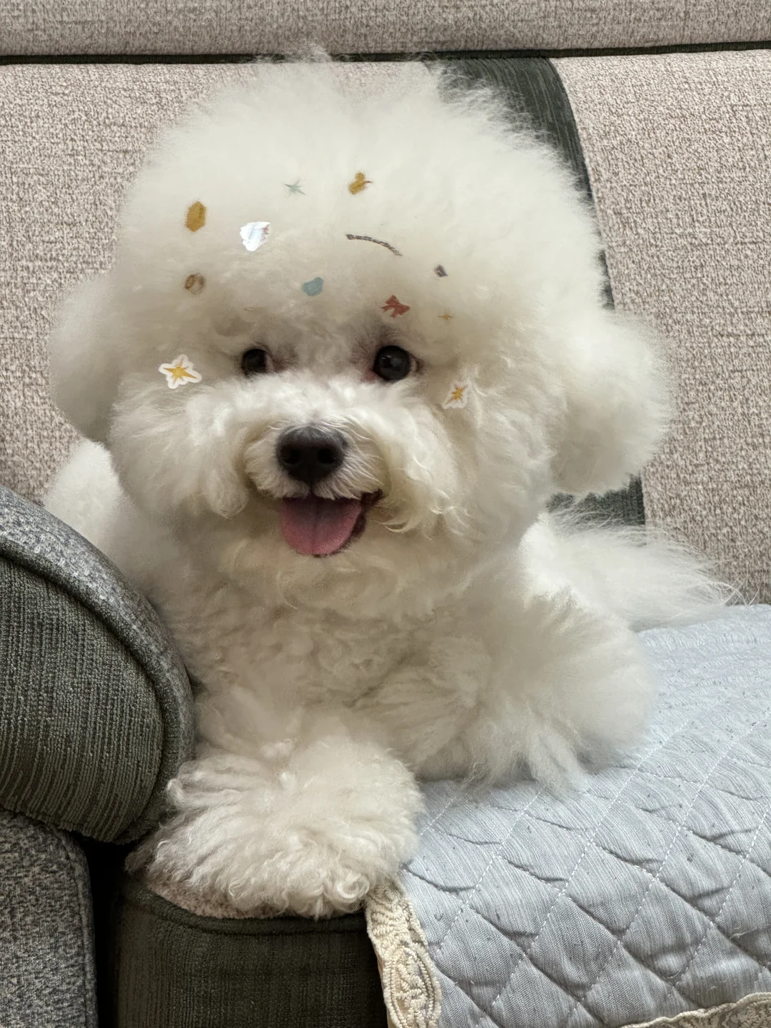 感觉像职业假笑