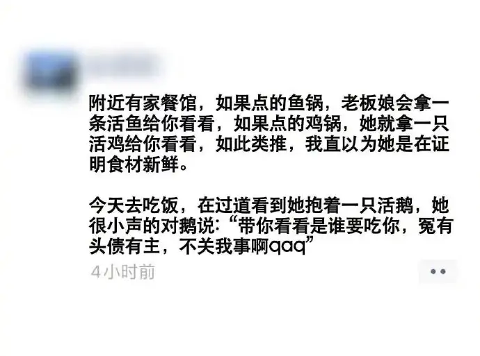 <img src=