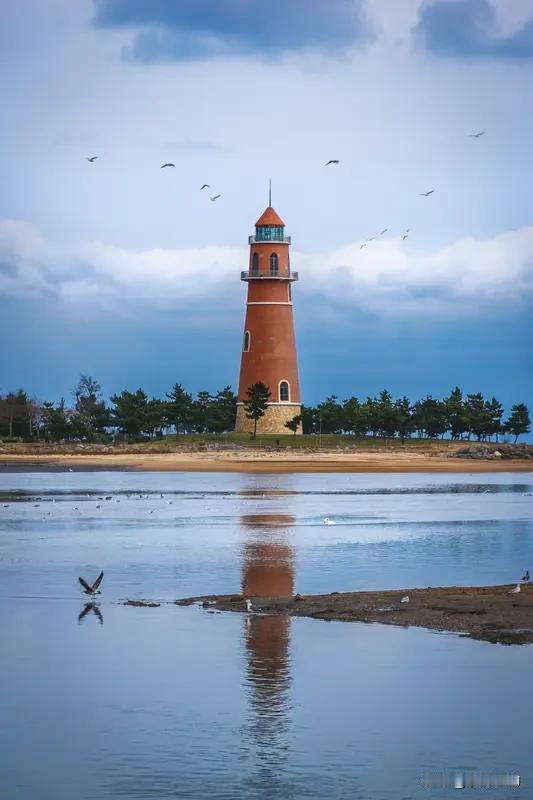 威海下雪了！❄️

不是“意思一下”的小雪，是能把小腿埋进去的“鹅毛plus”！