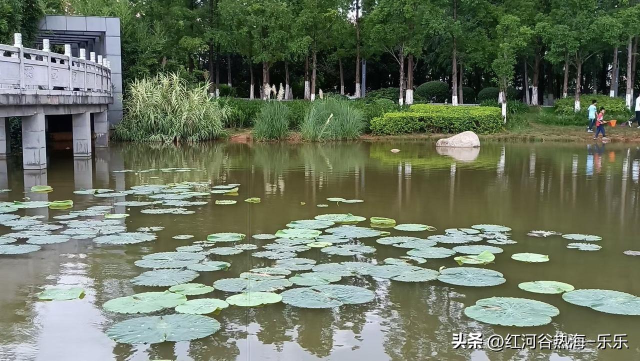 学历到底还有没有用，大家看看那些有钱人，看看那些领导，看看他们的子女有没有在死命