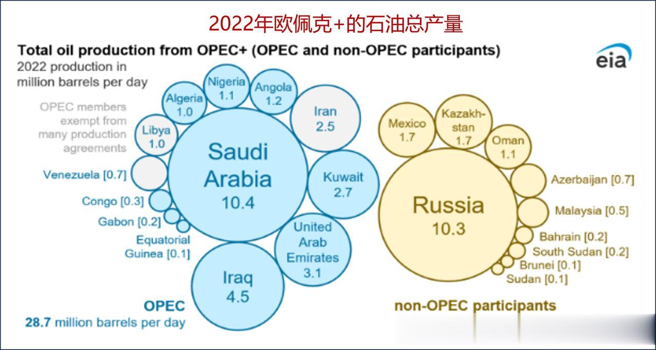 欧佩克+是什么？ 与欧佩克有何不同？
它们与油价有什么关系？

石油输出国组织(