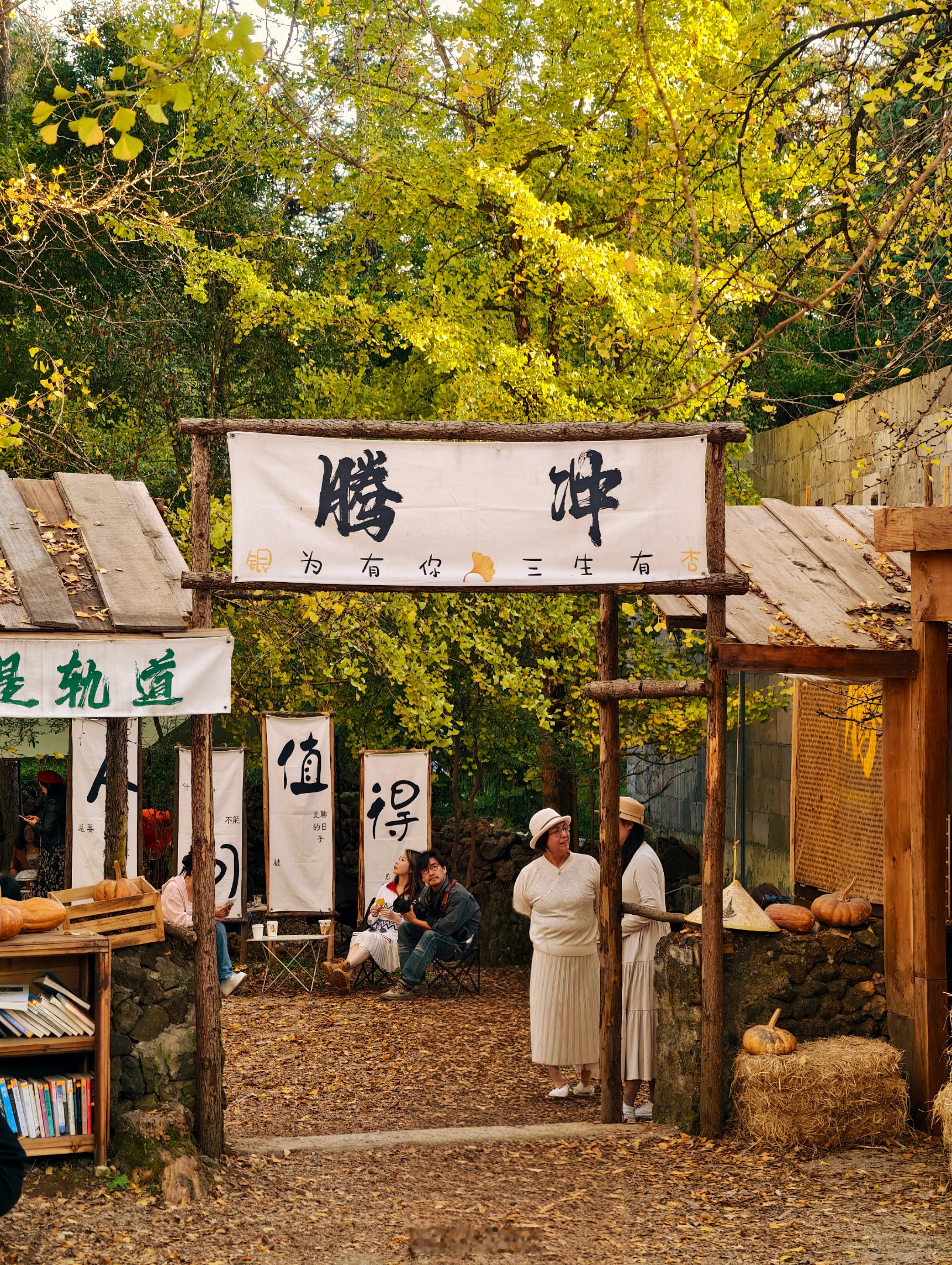 今天去了大名鼎鼎的‬银杏村 大片的银杏树虽然很美，但村里茂密的树下已被商贩们占满