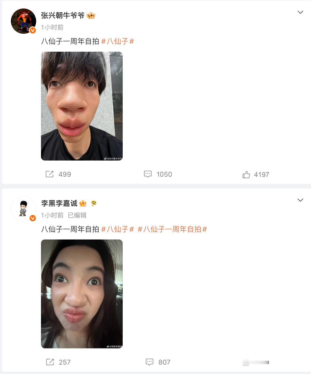 八仙子你们咋了。 